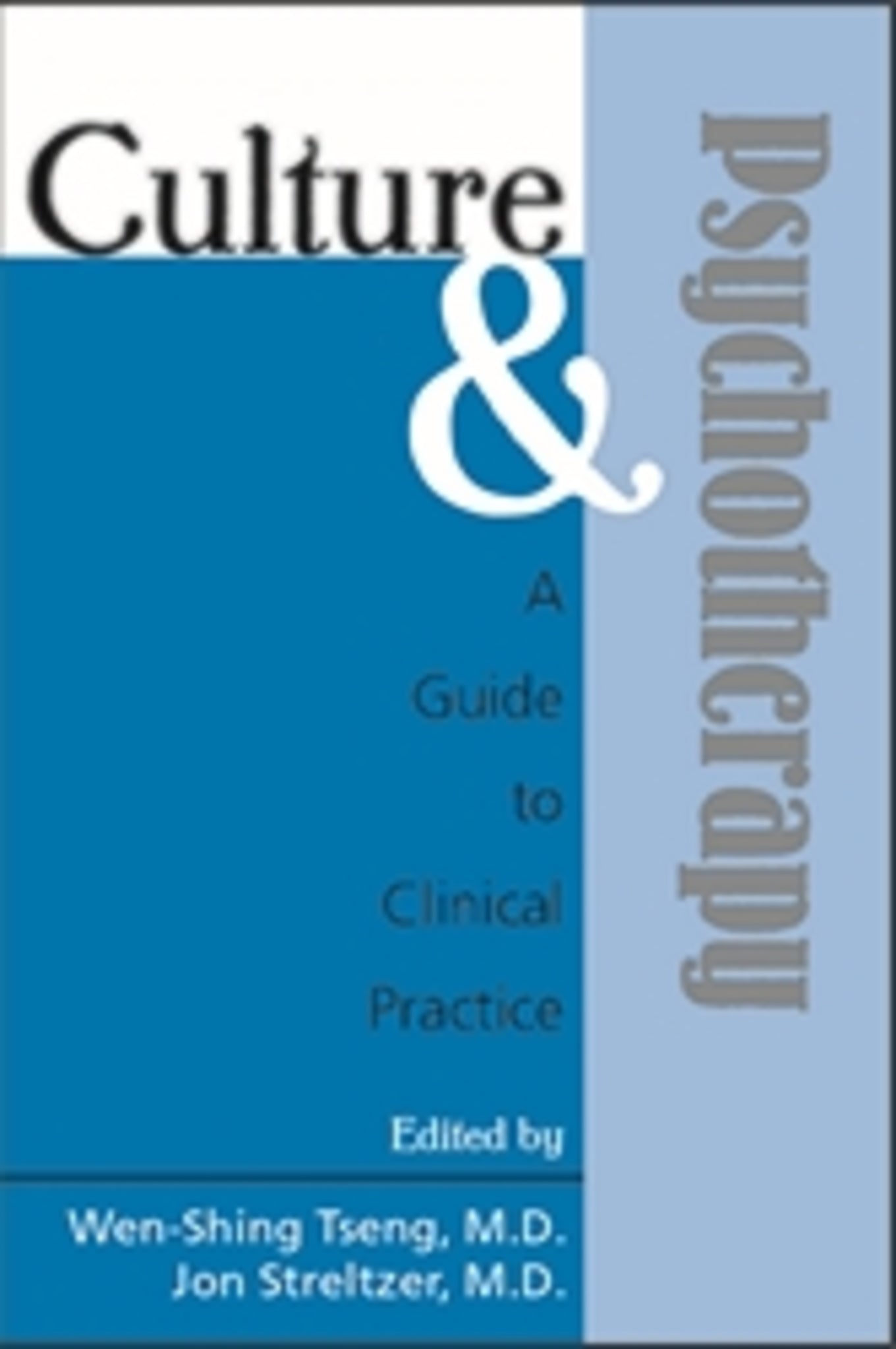 Cover image for Culture and Psychotherapy ISBN 9780880489553
